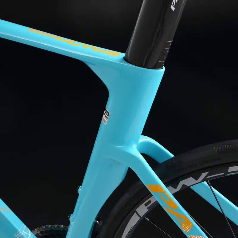 Pardus Spark Sport 105 12 Speed Carbon Road Bike with Carbon Wheelset