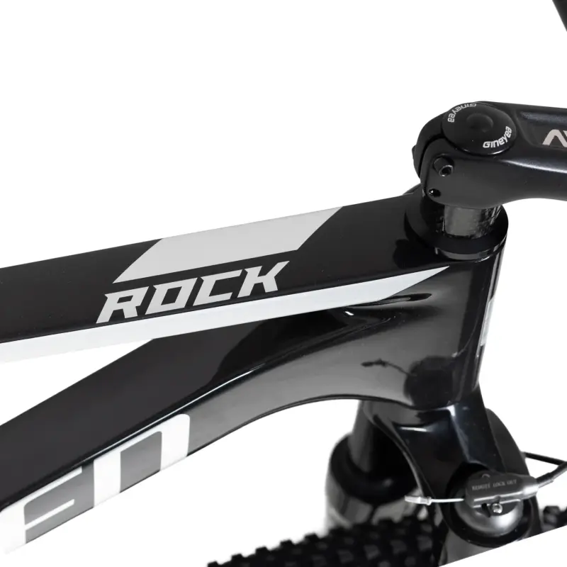 Sunpeed Rock Carbon Mountain Bike