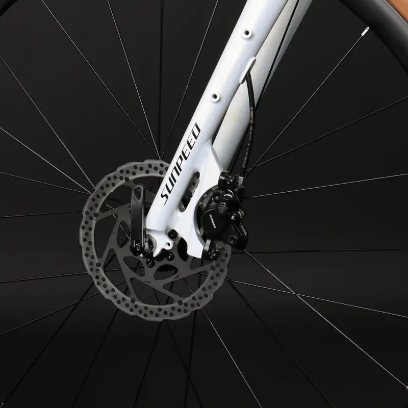 Sunpeed Kepler Hybrid Bike