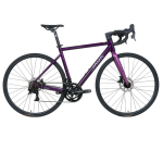 JAVA Rapida Alloy Road Bike