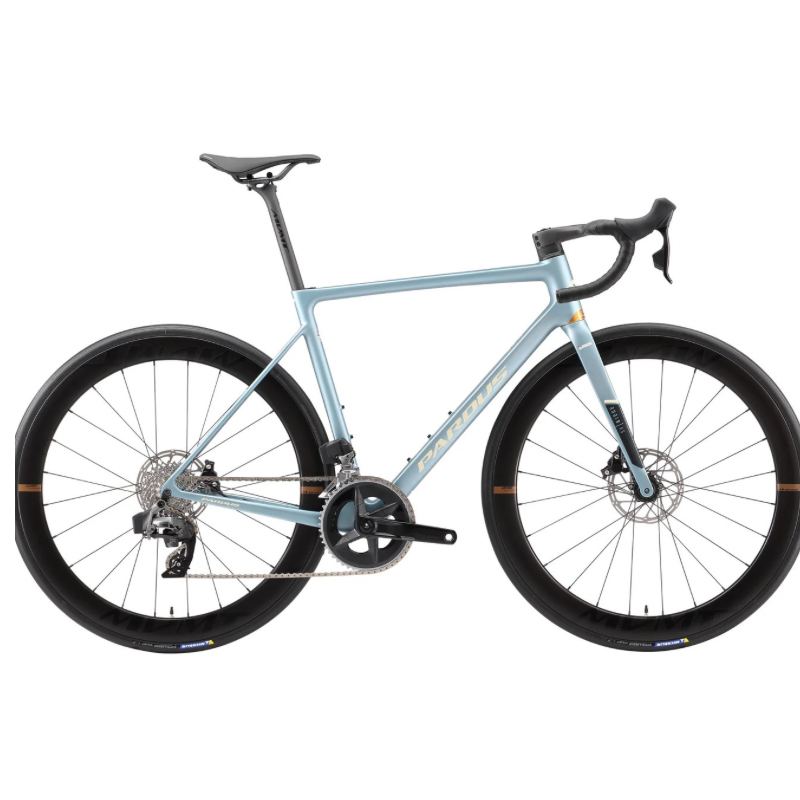 Pardus Robin RS AXS eTap Carbon Road Bike with Carbon Wheelset