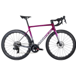 Pardus Robin RS AXS eTap Carbon Road Bike with Carbon Wheelset