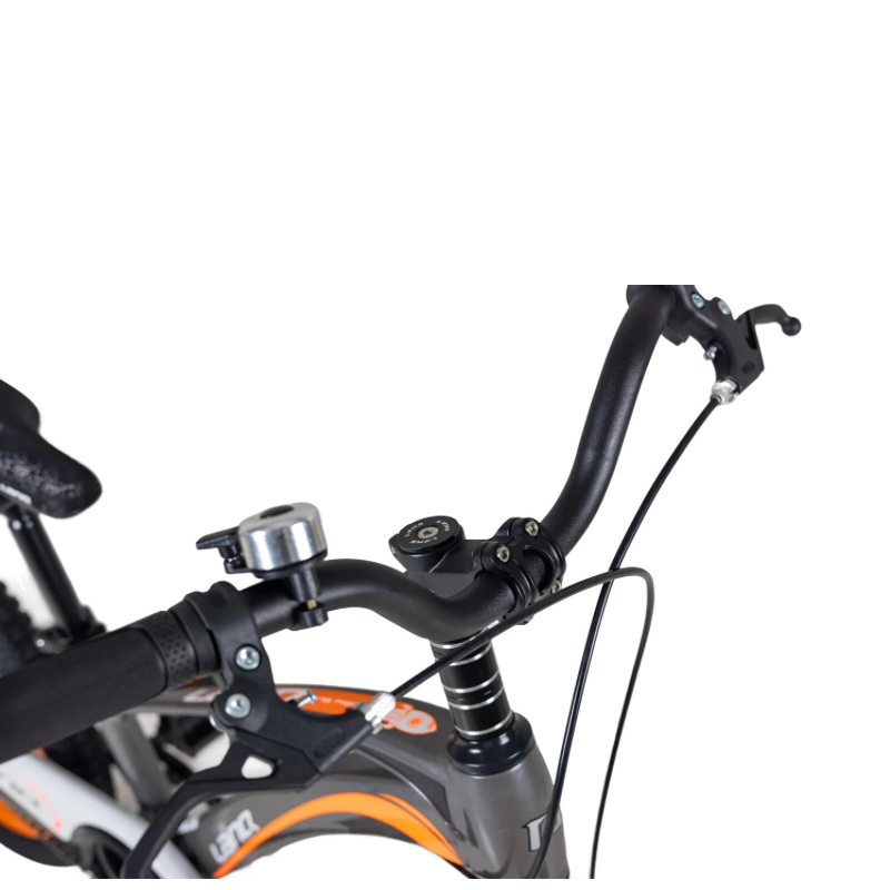 LanQ MG Magnesium Alloy 20 inch Kids Bike 3-Spokes 2081
