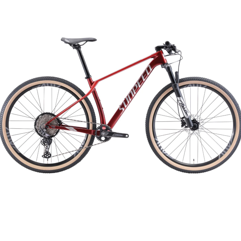 Sunpeed Rock Carbon Mountain Bike